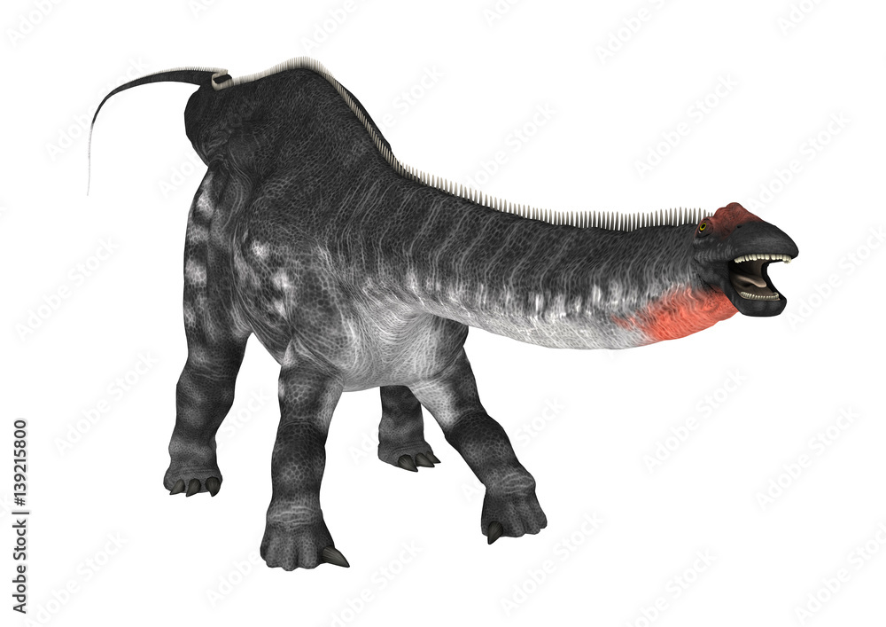 3D Rendering Dinosaur Apatosaurus on White 3D Rendering Dinosaur Apatosaurus on White