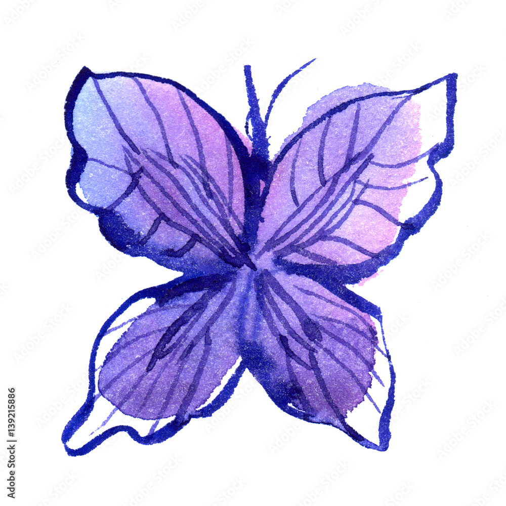 Watercolor butterfly in blue colors Stock Illustration Adobe Stock