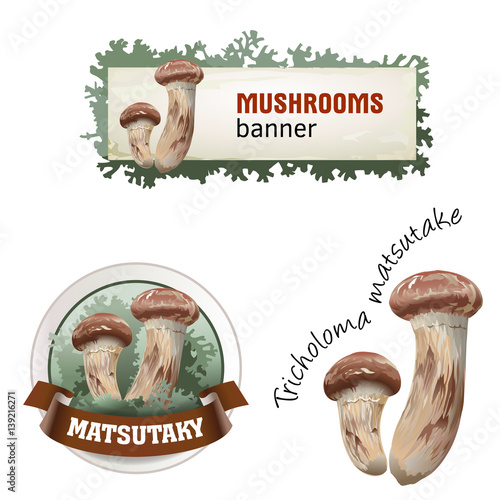 Set of mushroom vector banner, badge, sticker, icon with matsutake