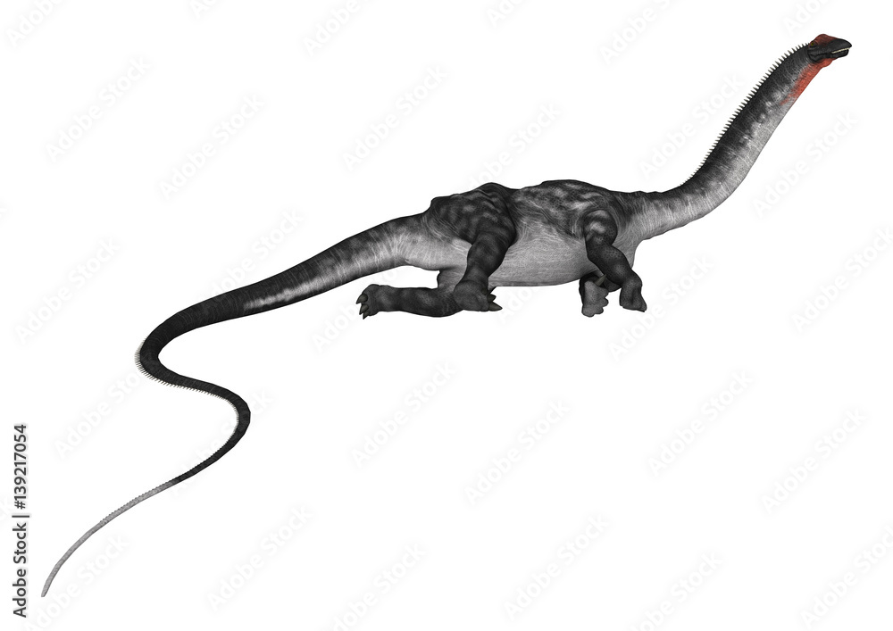Obraz premium 3D Rendering Dinosaur Apatosaurus on White