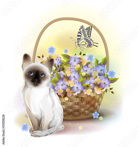 Happy birday card. Siamese kitten, butterfly and basket with violets. photo