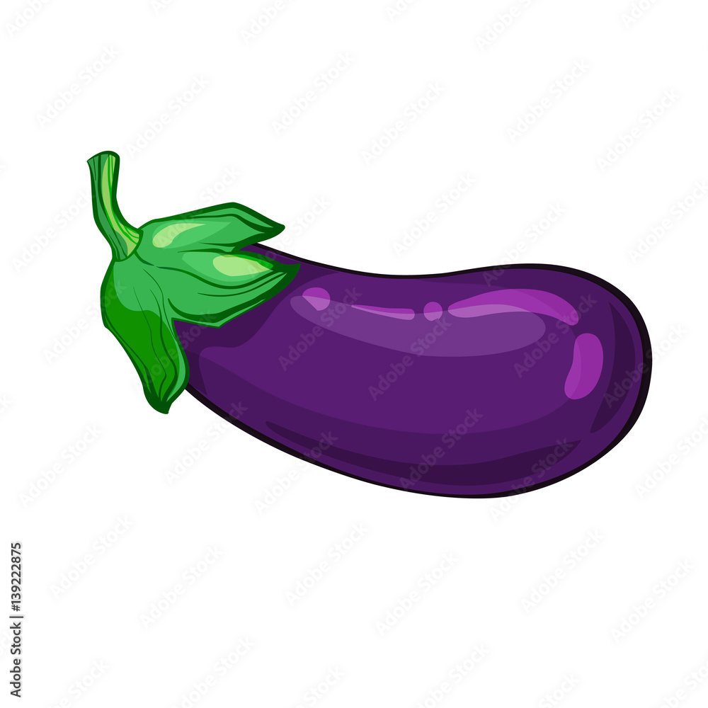one ripe eggplant isolated on white background. vector illustration one ripe eggplant isolated on white background. vector illustration