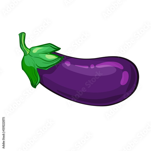 one ripe eggplant isolated on white background. vector illustration