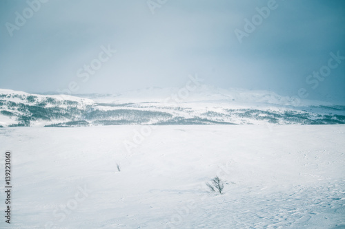 A beautiful winter landscape with mountains in the distance © dachux21