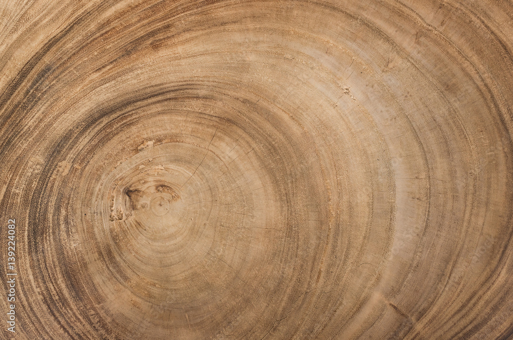 Fototapeta premium old vintage wood texture background