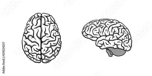 Black & white human brain in two perspectives illustration