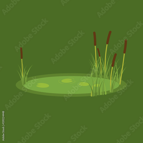 vector illustration of the marsh, reeds and water lilies on a green background