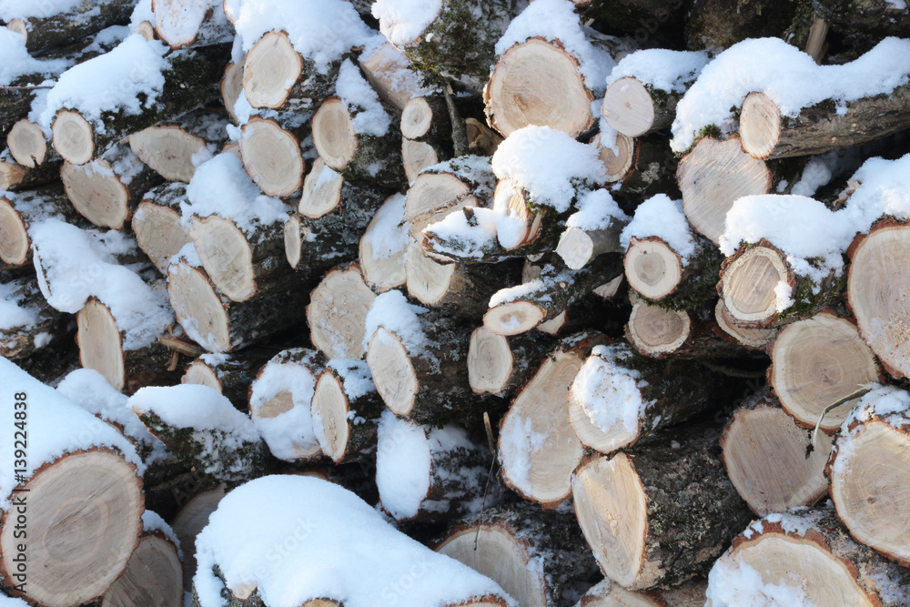 Wall of stacked logs and branches. Firewood in the snow Wall of stacked logs and branches. Firewood in the snow