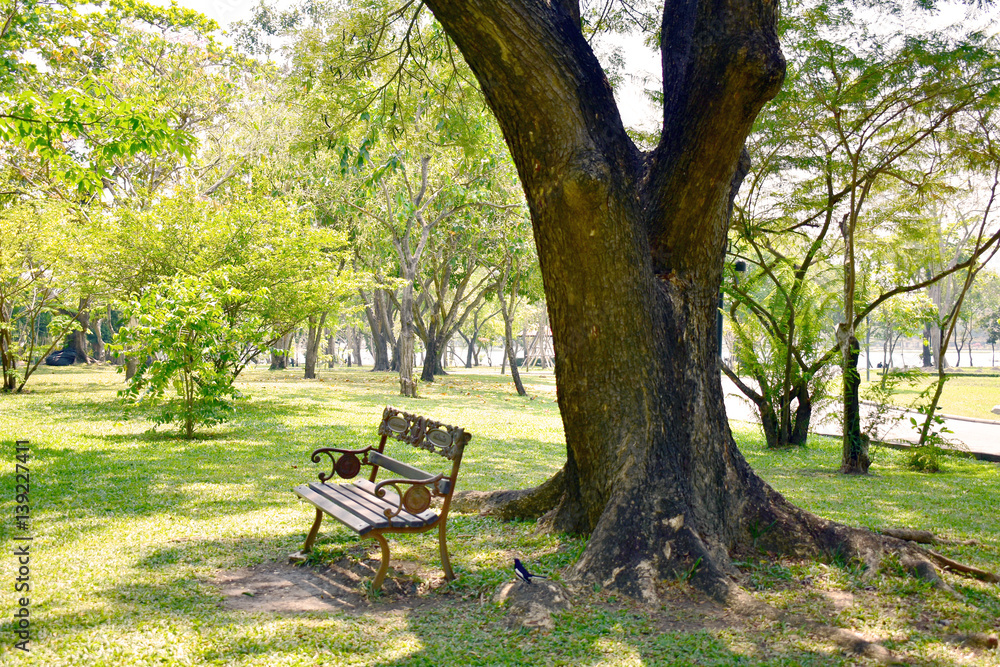 A bench under the tree Park in Bangkok Thailand A bench under the tree Park in Bangkok Thailand