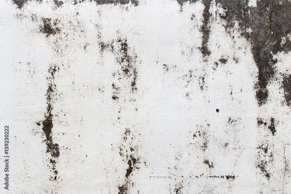 Fototapeta premium biała ściana betonowa tekstura