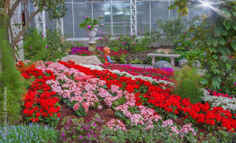 Obraz premium beautiful flowers