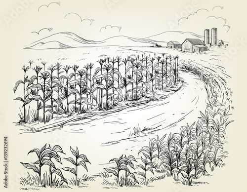 Hand drawn vector illustration sketch rural landscape field house granary
