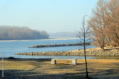 Danube and Morava river confluence near Bratislava city with tree