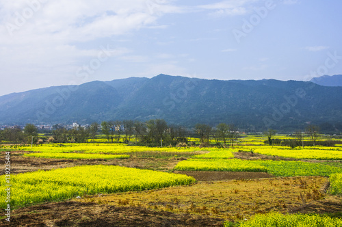 The colorful countryside scenery in spring 