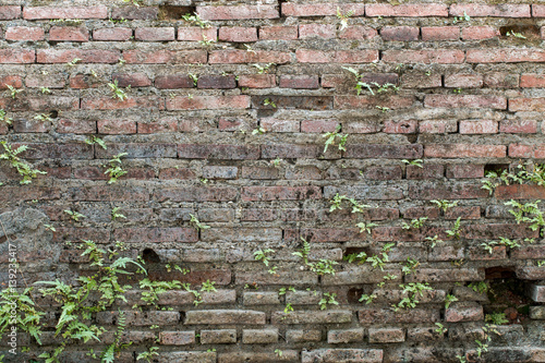 Background of brick wall texture