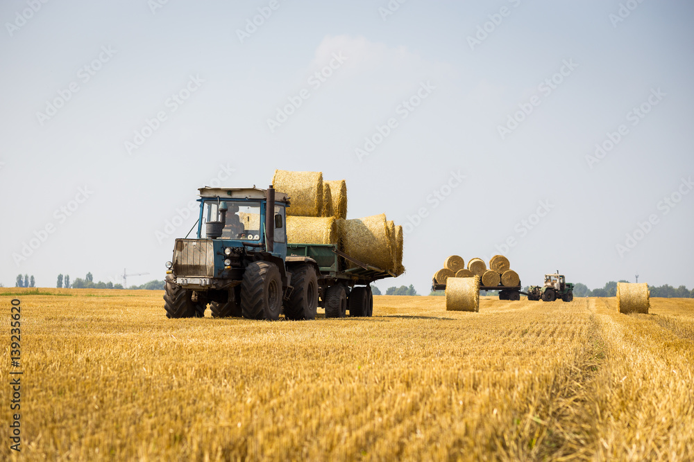 Fototapeta premium Vinnitsa,Ukraine - July 26,2016.huge tractor collecting haystack in the field at nice blue sunny day,Tractor collecting straw bales,Agricultural machine collecting bales of hay,harvest concept