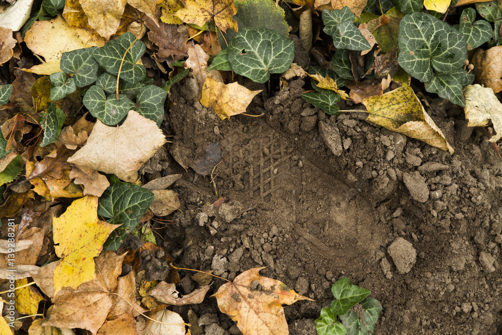 Footprint among the fall leaves Footprint among the fall leaves