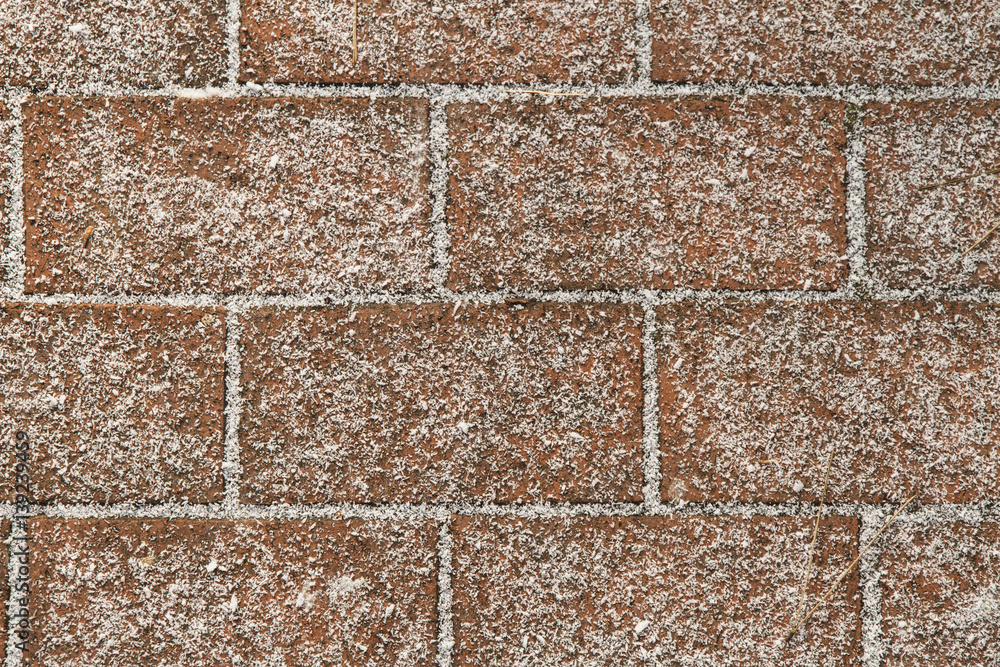 Obraz premium Frosty brick pavement background