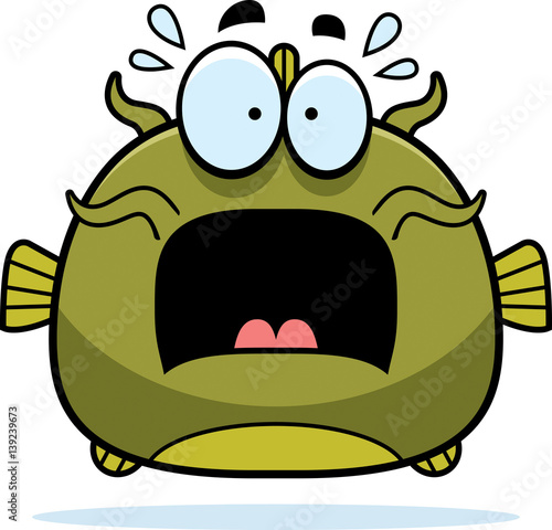 Scared Little Catfish