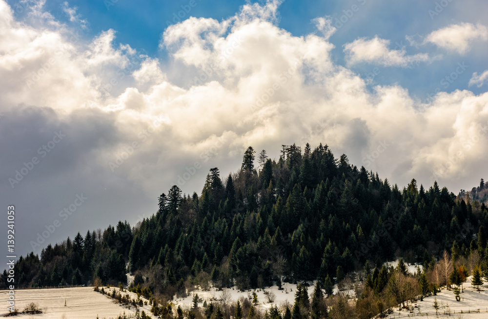 last days of winter in mountain landscape