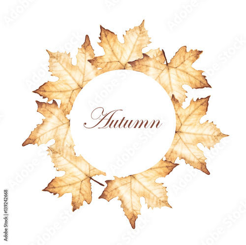 watercolor painting of Autumn circle frame with maple leaves drawing.