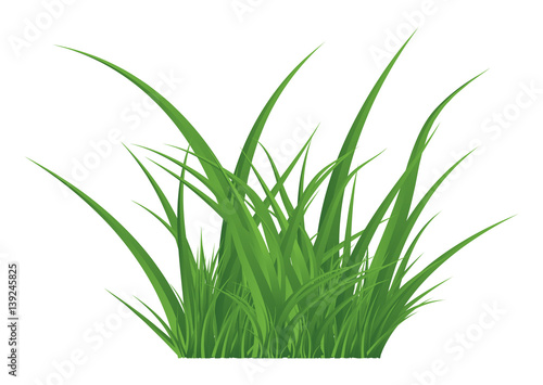 Green grass isolated vector symbol icon design.