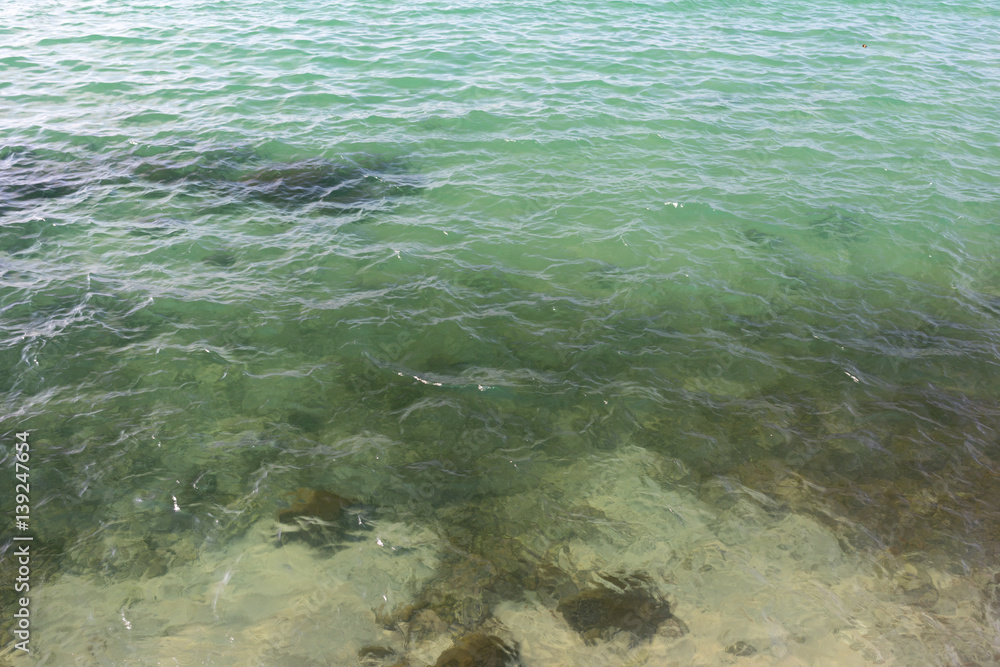 Fototapeta premium coral reef underwater