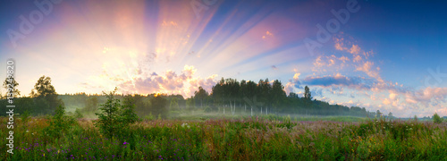 Tablou pe pânză Panoramic meadow. Summer good weather