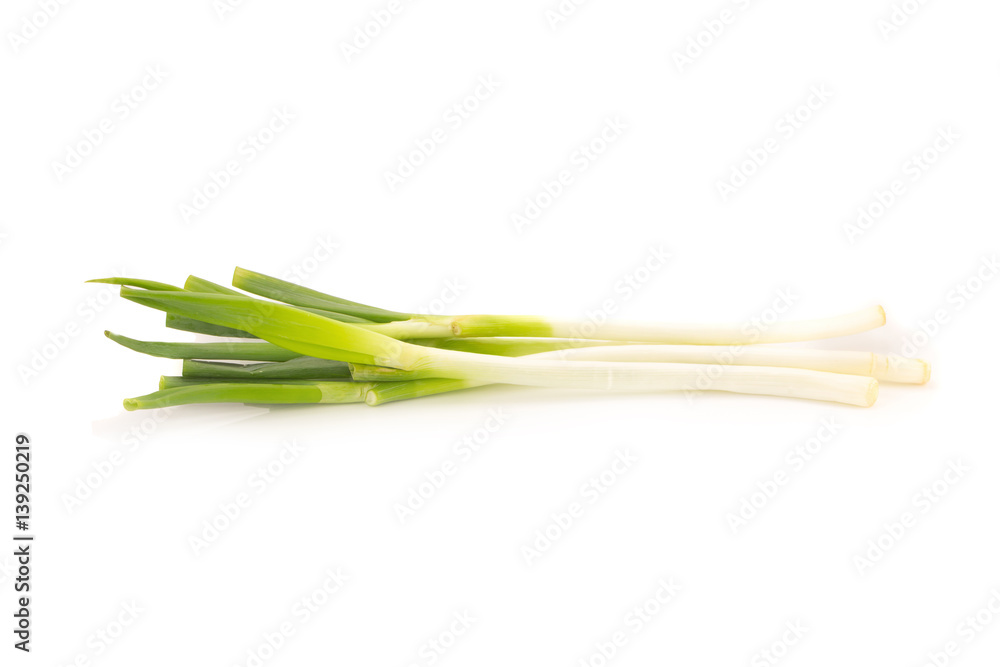 Green Japanese Bunching Onion on White Background Green Japanese Bunching Onion on White Background