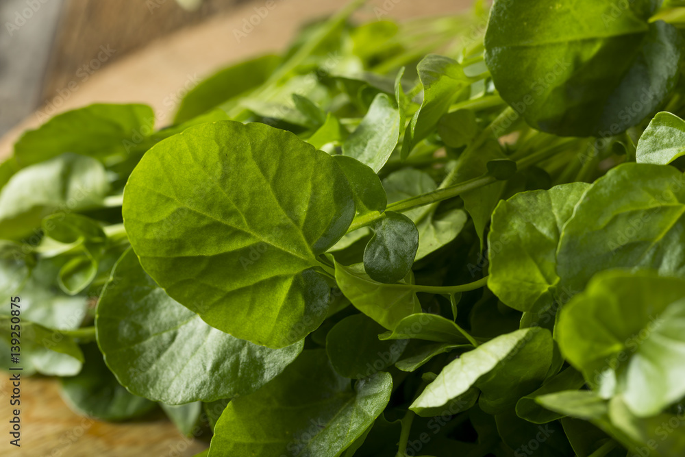 Raw Green Organic Living Water Cress Raw Green Organic Living Water Cress