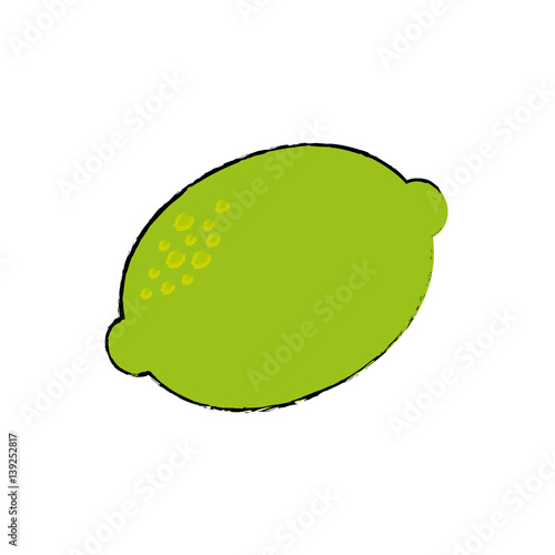 Lemon delicious fruit icon vector illustration graphic design