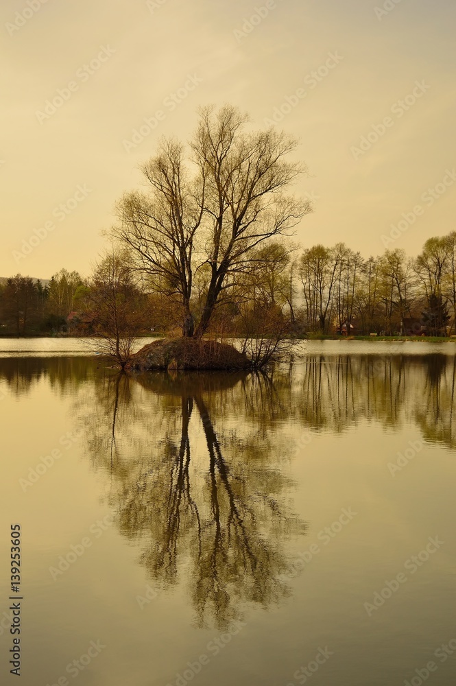 Beautiful autumn lake and trees. Tree reflection on water level. Fall in Slovakia. Wild natural pond and island.