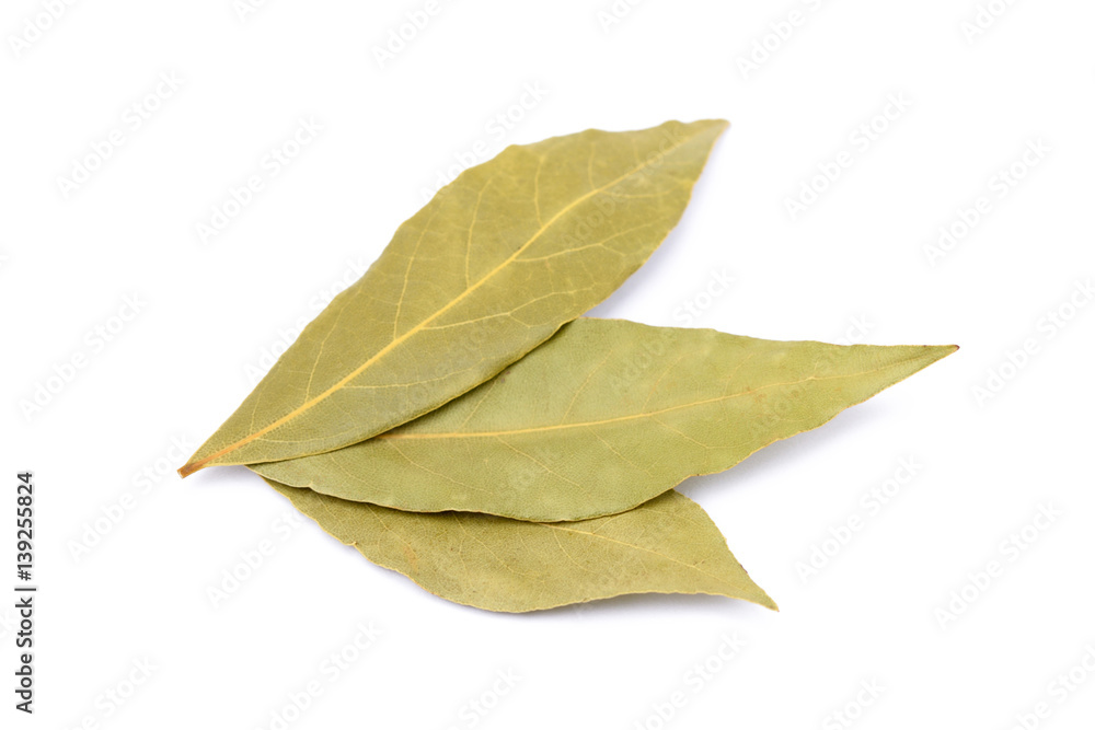 Spices bay leaves isolated on white background Spices bay leaves isolated on white background