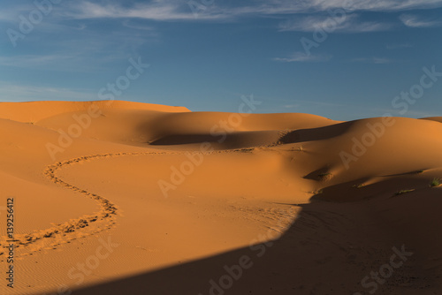 Scenic and tranquil desert near Merzouga  Morocco