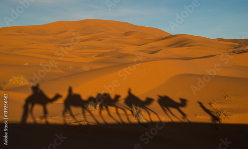 Scenic and tranquil landscape of desert near Merzouga  Morocco
