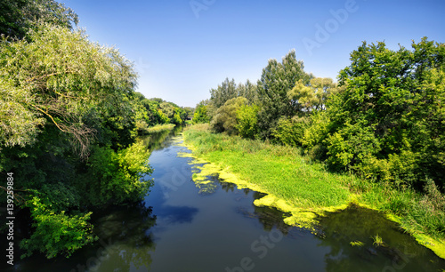 The river among green trees