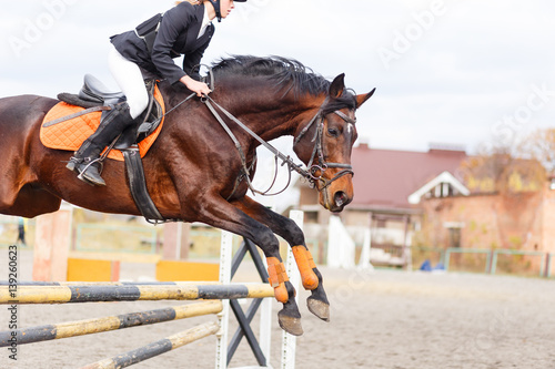 Bay horse with rider girl jump over hurdle on show jumping competition © skumer