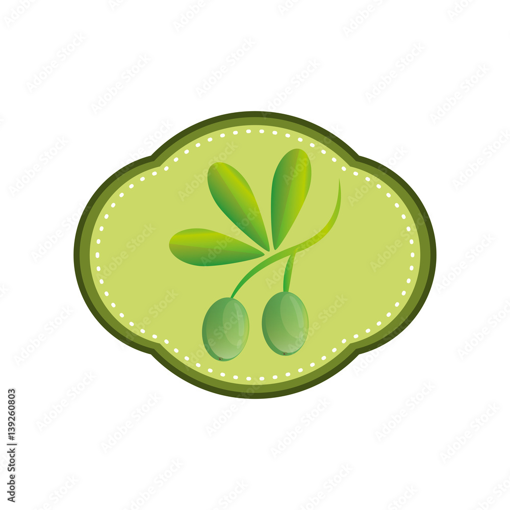 Olive oil healthy food icon vector illustration graphic design Olive oil healthy food icon vector illustration graphic design