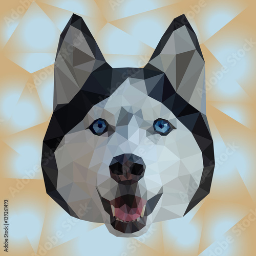 polygonal muzzle of husky. Asymmetrical. Only triangles
