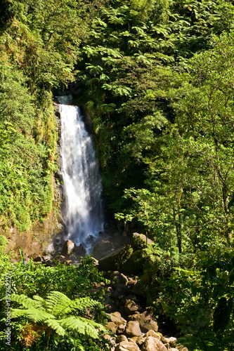 Trafalgar waterfalls on Dominica Island in the Caribbean. 