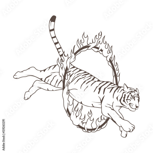 Circus tiger jumping through a fire circle