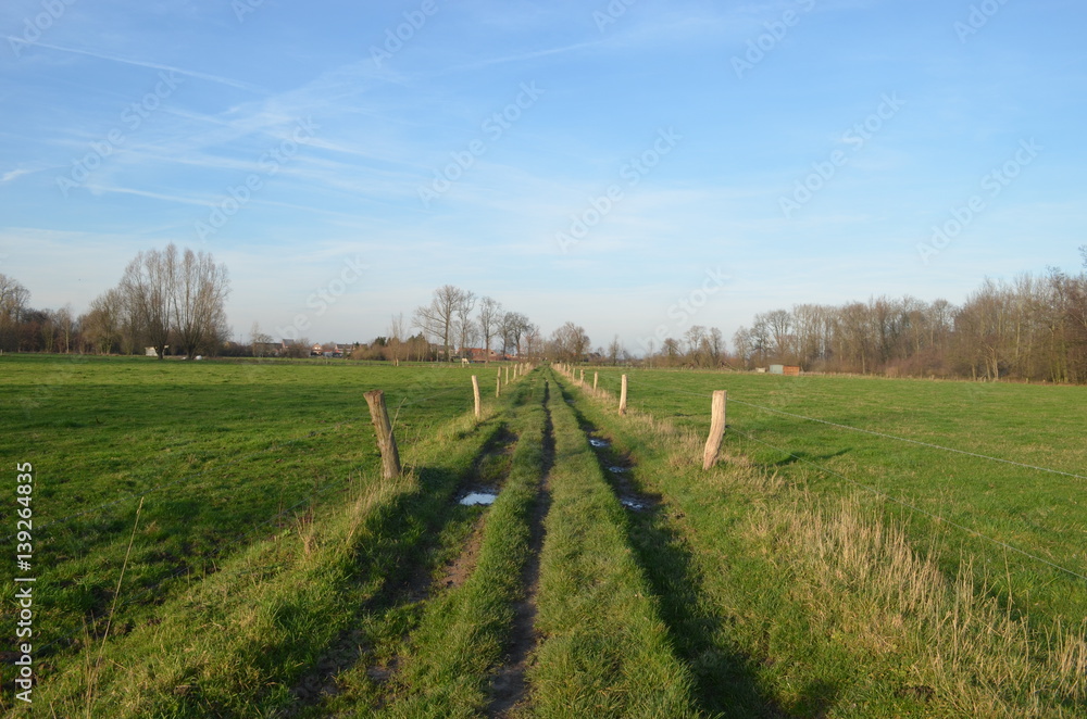 Grassy walking trail through Flemish fields