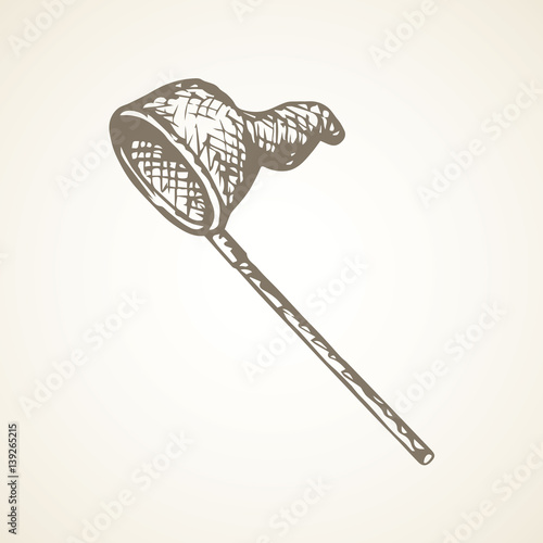Butterfly net. Vector drawing