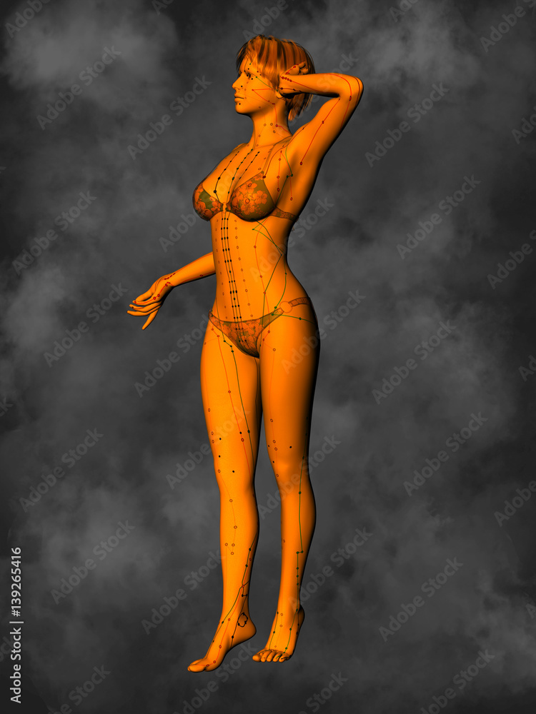 Female Acupuncture Model GF-POSE Bwc-14-2, 3D Illustration