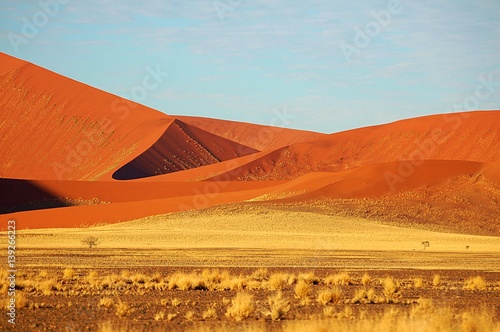 Beautiful Namib Desert in Namibia photo