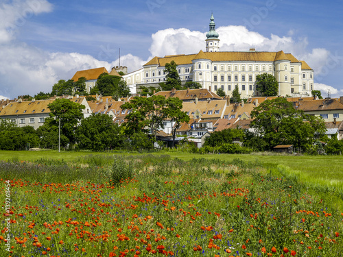 Mikulov, poppy meadow, Czech Republic, Southern Morava