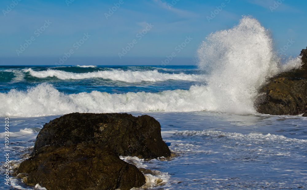 Wild Surf Wild Surf