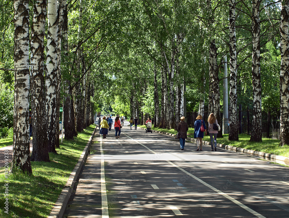 Люди гуляют в парке Сокольники в Москве