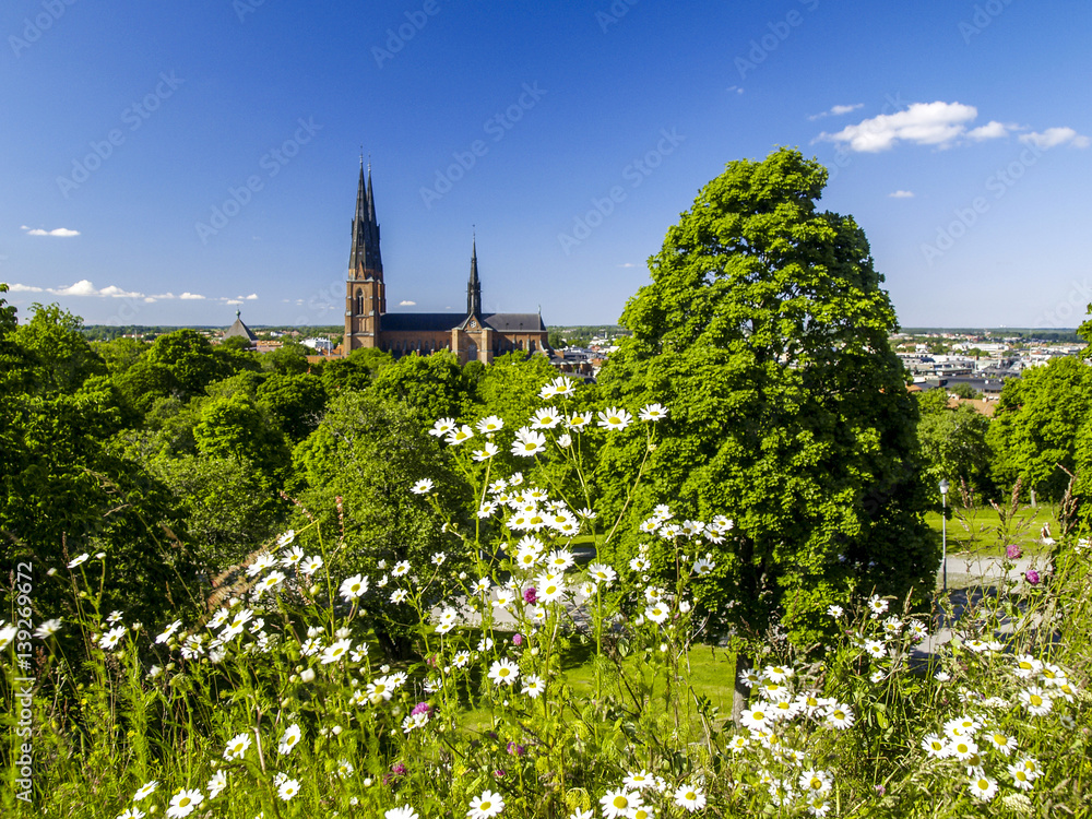 Uppsala, Domkyrkan, Cathedral, Sweden, Uppland