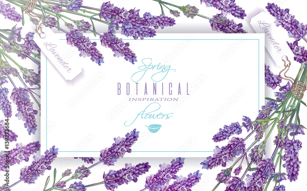 Lavender flowers banner - obrazy, fototapety, plakaty 